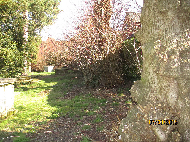 Helping clear St Martins Churchyard (1) - Before (10/03/2015)  